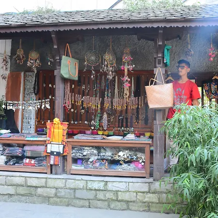 Hotel Holy Himalaya-3