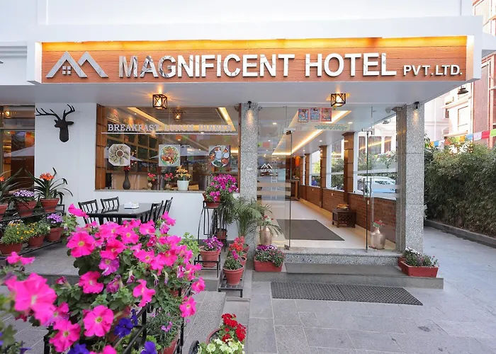 Magnificent Hotel - Next To Garden Of Dreams